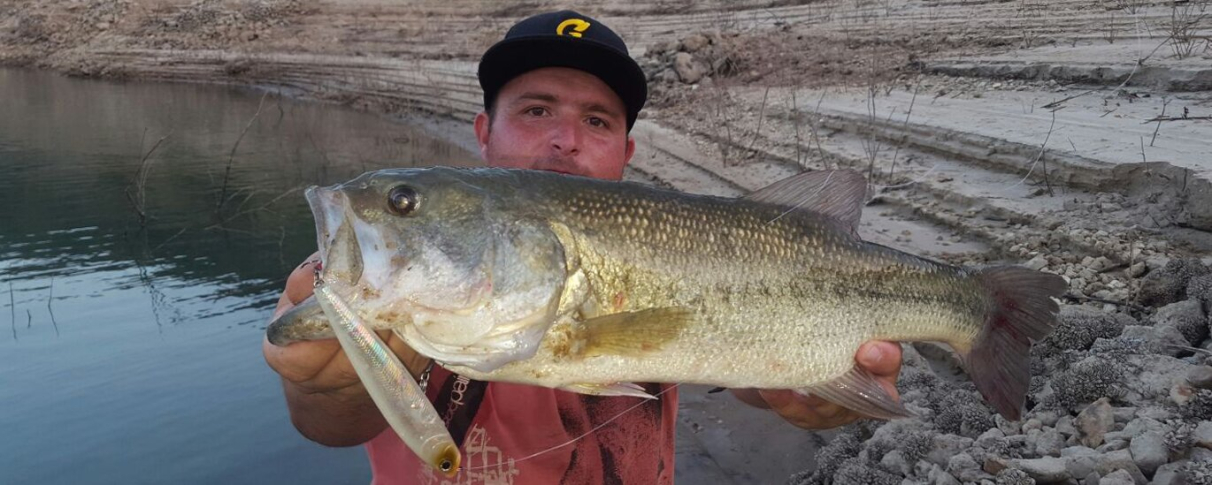 LA PESCA DEL BASS EN SUPERFICIE