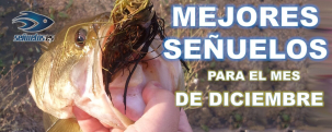 MEJORES SEÑUELOS PARA EL MES DE DICIEMBRE